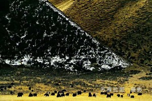 苏雅拉图摄影作品