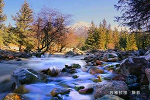 苏雅拉图摄影作品