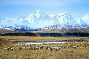 苏雅拉图摄影作品