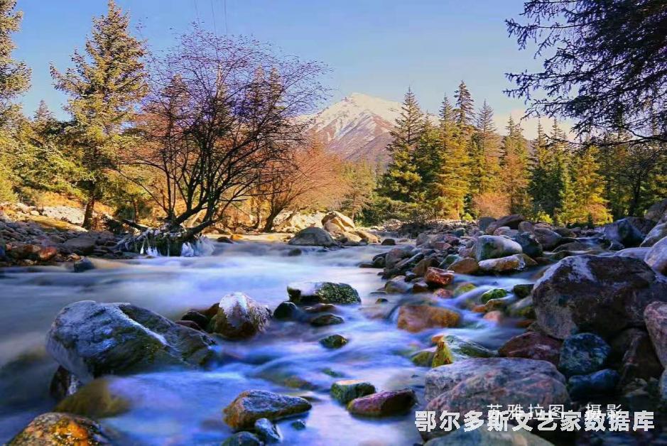 微信图片_20181107152723