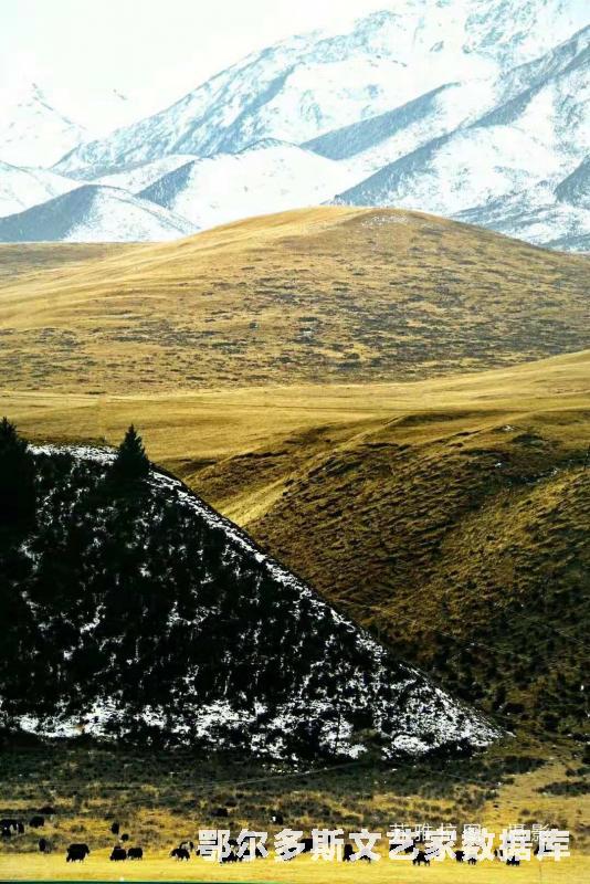 微信图片_20181107152744