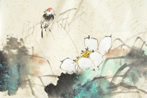 石兰美术作品集（一）