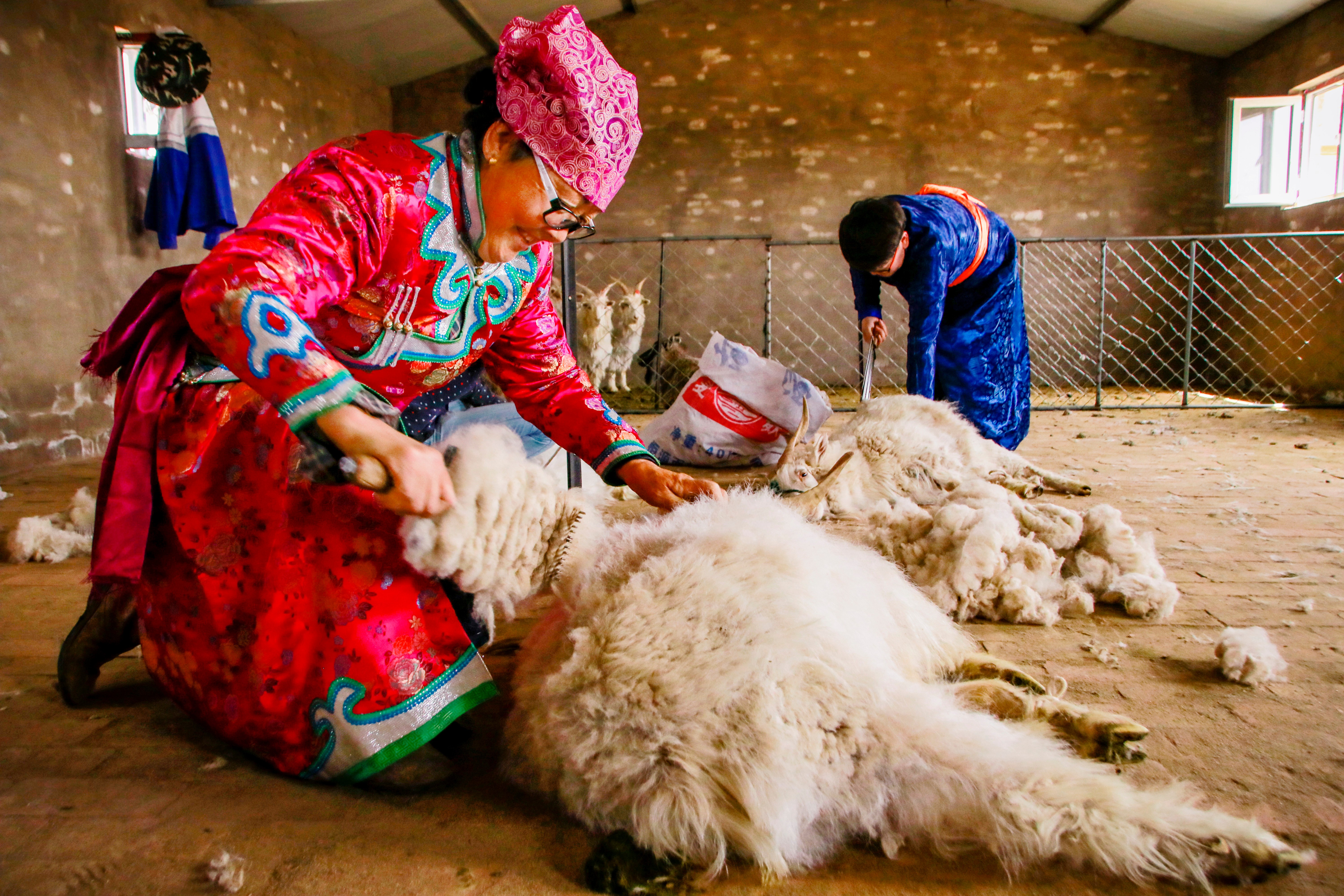 牧民丰收的喜悦