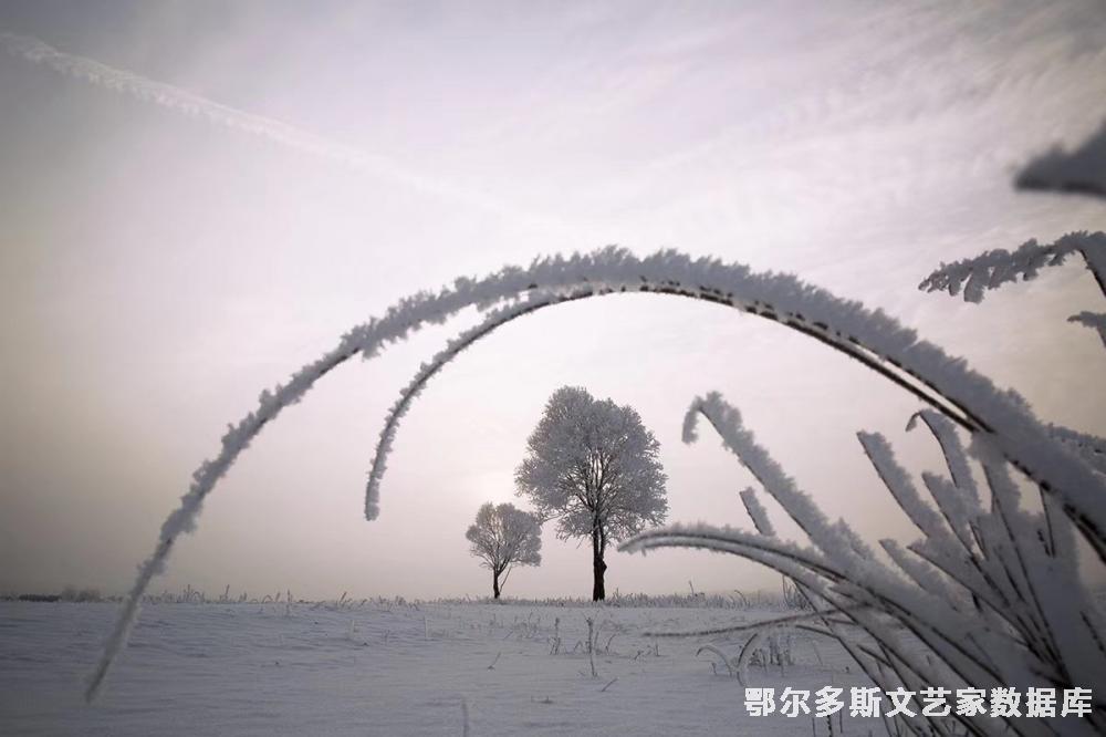 mmexport1671451950463