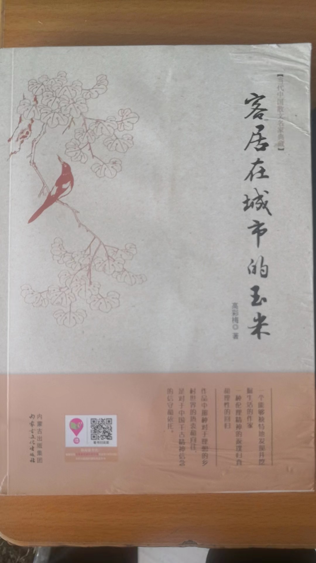 散文集《客居在城市的玉米》