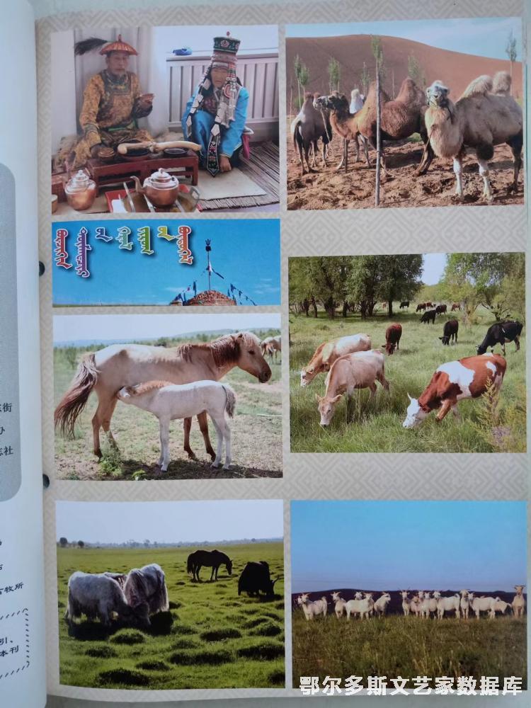 微信图片_20230905100404