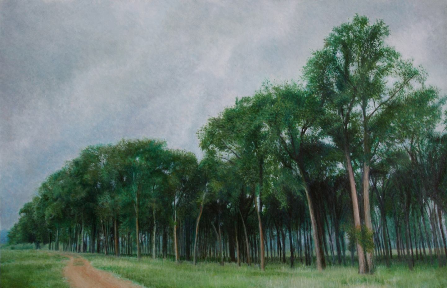 《札萨克·榆树林》