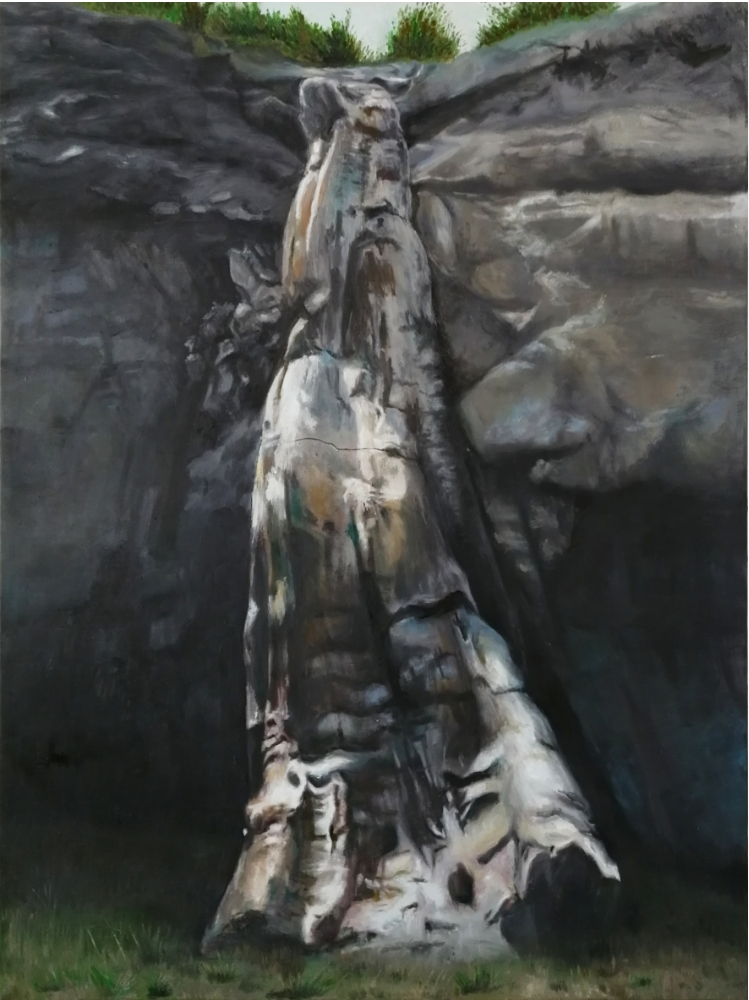 《纳林陶亥化石树》