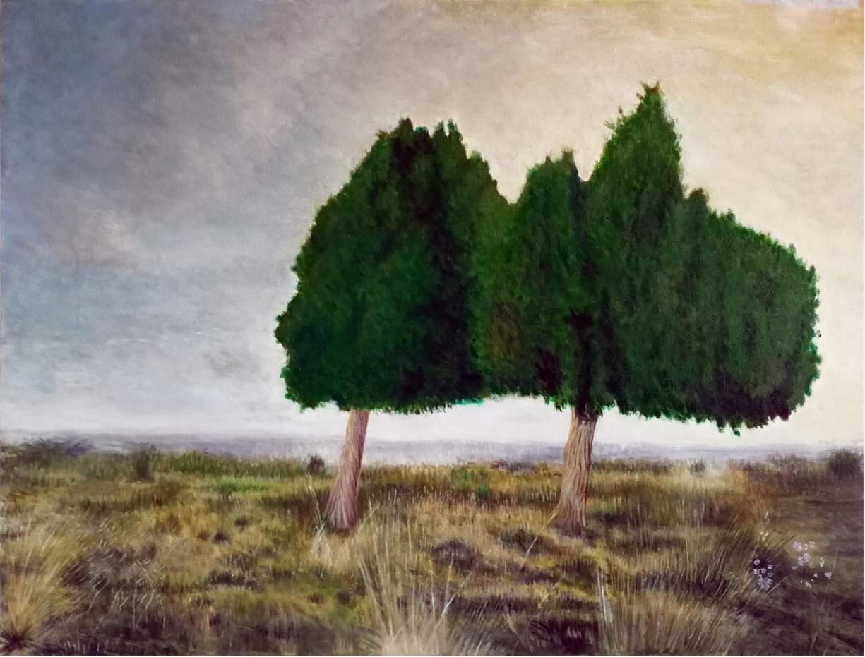 《神山敖包，姐妹松》