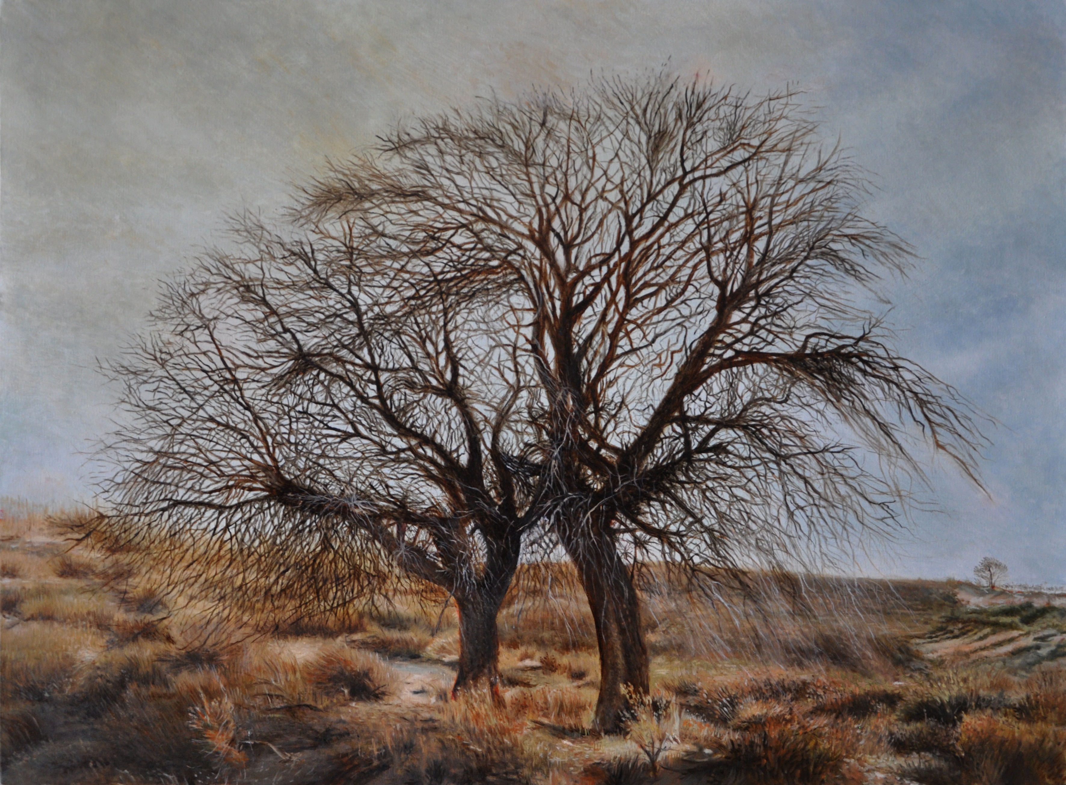 《相守天长地久》