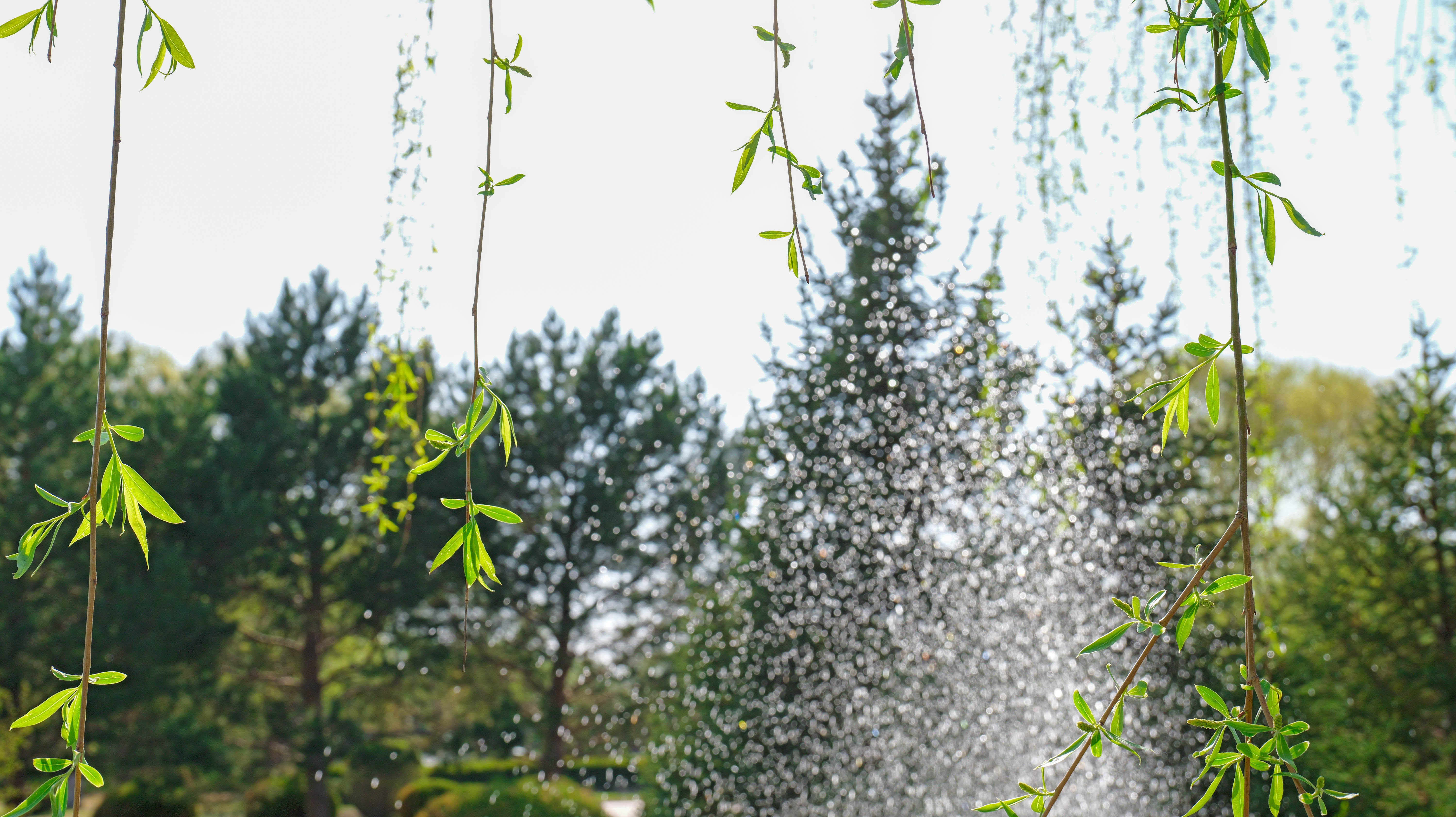 春回大地 万物苏醒1