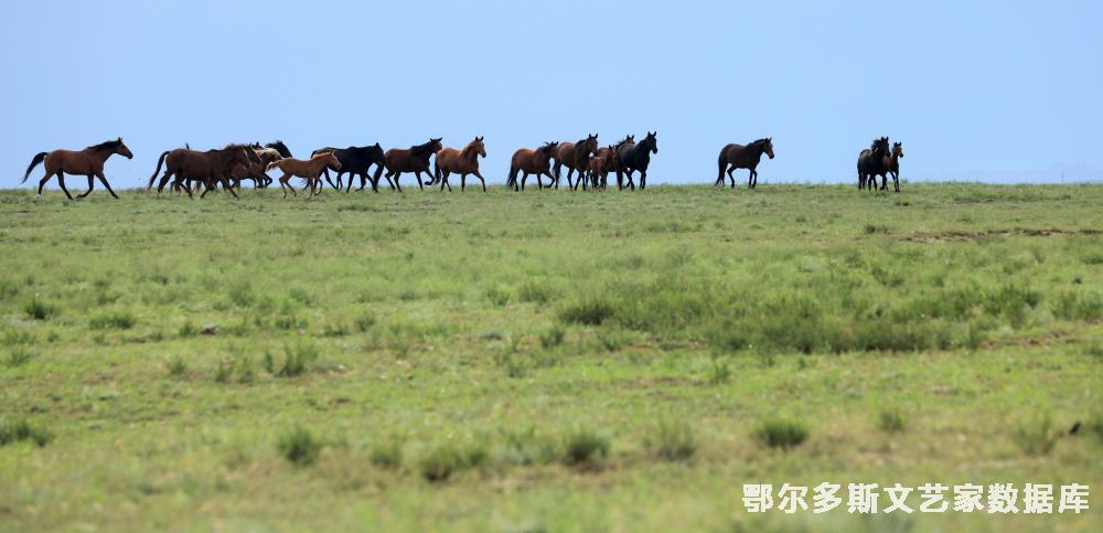 mmexport1741868125611