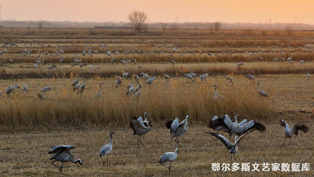 mmexport1741868136250