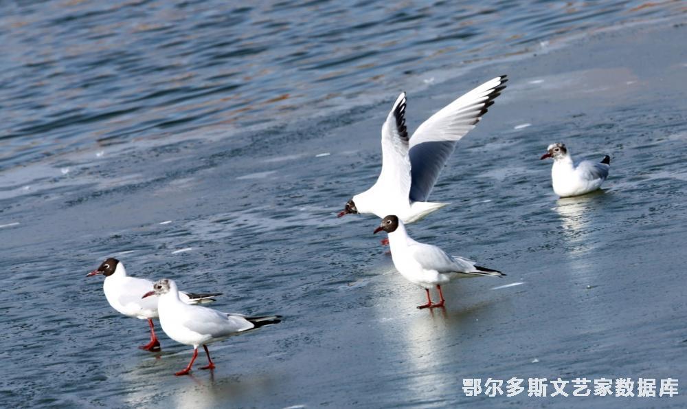 mmexport1741868113172