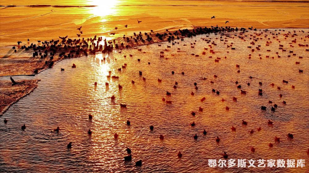 mmexport1741868143803