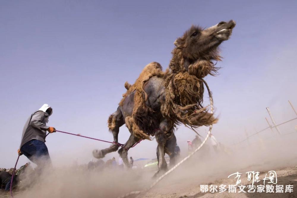 44b2a494bdce0fa26749d970a7435df